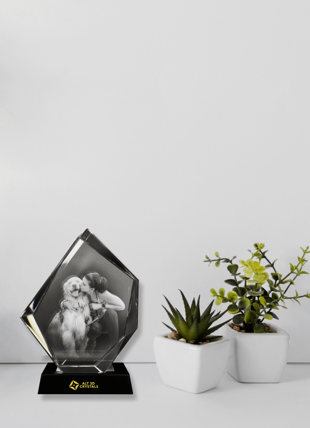 Explore Our Best Sellers